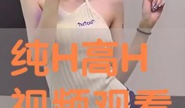 高h视频,揭秘视觉盛宴背后的技术奥秘
