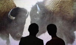 人和人交配视频,交配视频背后的科学启示